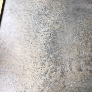 Meet your Posher, Ray